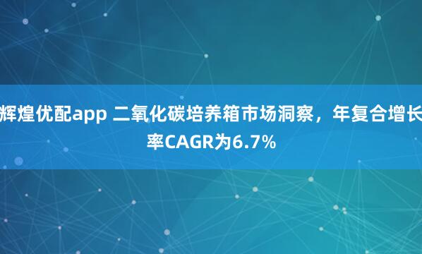 辉煌优配app 二氧化碳培养箱市场洞察，年复合增长率CAGR为6.7%