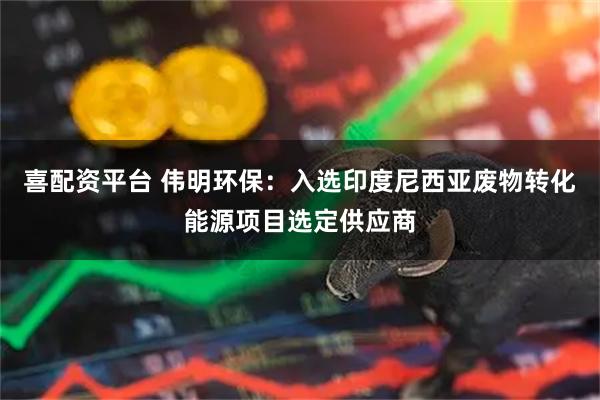 喜配资平台 伟明环保：入选印度尼西亚废物转化能源项目选定供应商